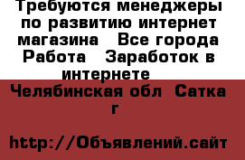 Требуются менеджеры по развитию интернет-магазина - Все города Работа » Заработок в интернете   . Челябинская обл.,Сатка г.